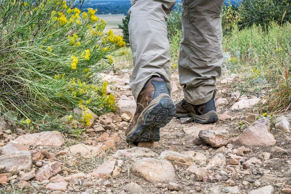 Pieds de randonneur sur un sentier de montagne — Photo