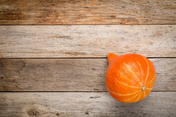 Orange hubbard vinter squash — Stockfoto