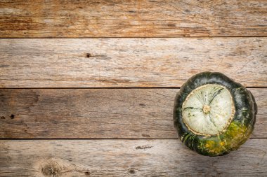 Buttercup kış kabak ahşap üzerine