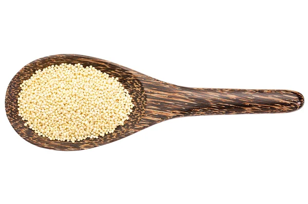 Gluten free millet grain — Stock Photo, Image
