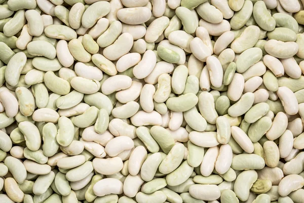 Flageolet bean background — Stock Photo, Image