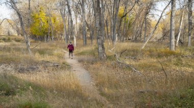 Son sınıf öğrencisi Colorado 'daki Poudre nehri boyunca nehir kenarındaki bir ormandan geçen bir patikada yürüyor.