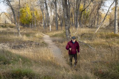 Son sınıf öğrencisi Colorado 'daki Poudre nehri boyunca nehir kenarındaki bir ormandan geçen bir patikada yürüyor.