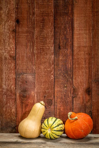 Zimní squash a stodola dřevo — Stock fotografie