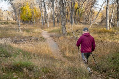 Son sınıf öğrencisi Colorado 'daki Poudre nehri boyunca nehir kenarındaki bir ormandan geçen bir patikada yürüyor.
