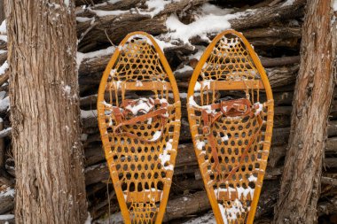 Kar kaplı arka bahçede klasik ahşap kar ayakkabıları (Huron)