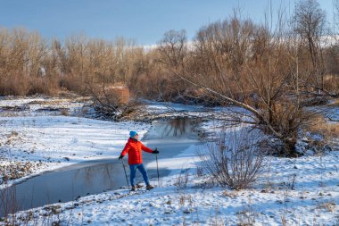 Son sınıf öğrencisi, Colorado 'daki Poudre Nehri boyunca yürüyordu. Soğuk kış manzarası.