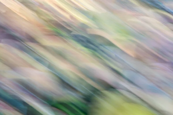 Motion blur abstract of foliage — Stock Photo, Image