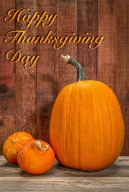 Şükran günün kutlu olsun