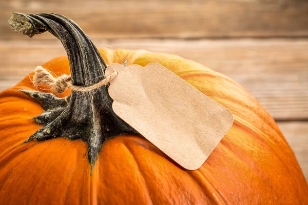 Zucca con cartellino del prezzo — Foto Stock