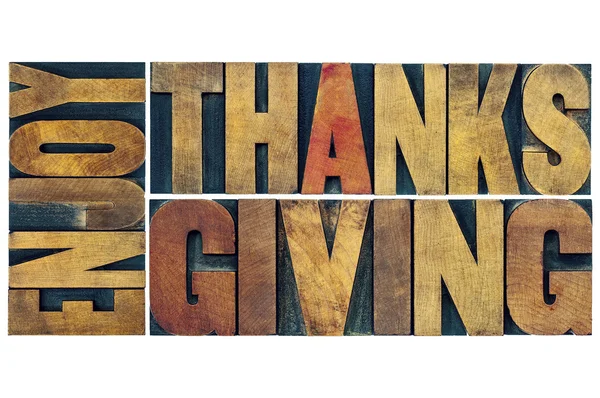 Enjoy Thanksgiving greeting card — Stock Photo, Image