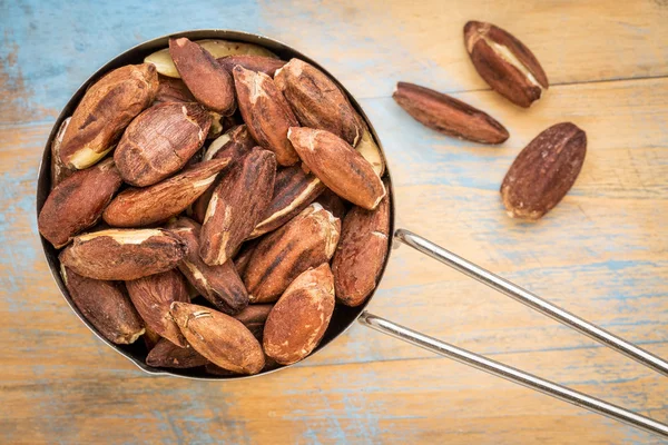 Pili nuts in metal scoop — Stock Photo, Image