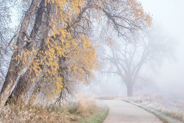 Nebbioso novembre mattina sulla pista ciclabile — Foto Stock