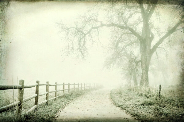 Nostalgic autumn scene, foggy park trail - landscape with a grunge texture effect