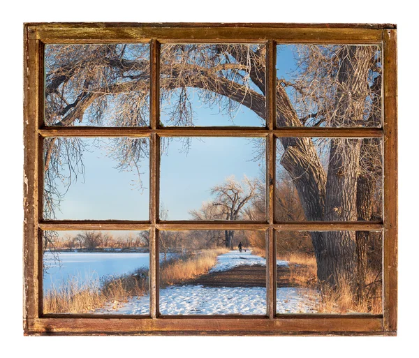 Сцена зимового парку зі старого вікна кабіни — стокове фото