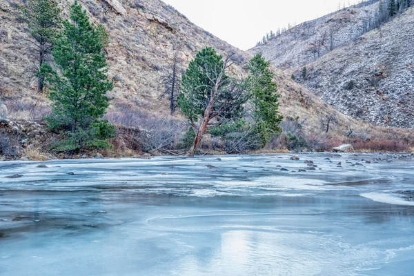 แม่น้ําแคช La Poudre ในภูเขาร็อคกี้ — ภาพถ่ายสต็อก