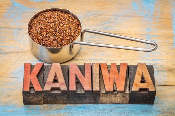 Grano kaniwa senza glutine — Foto Stock