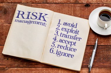 risk yönetimi stratejileri