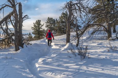 Colorado'da hiking kış