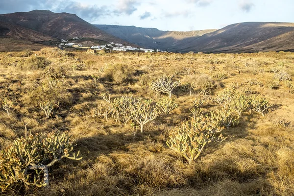 Landscape in Lanzarote — Stock Photo, Image