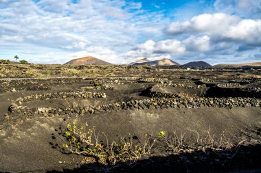 Volcanoe manzara Lanzarote, Kanarya Adaları, İspanya