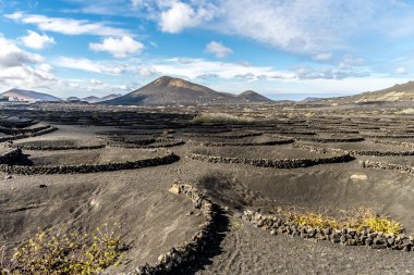 Lanzarote Geria üzüm bağları
