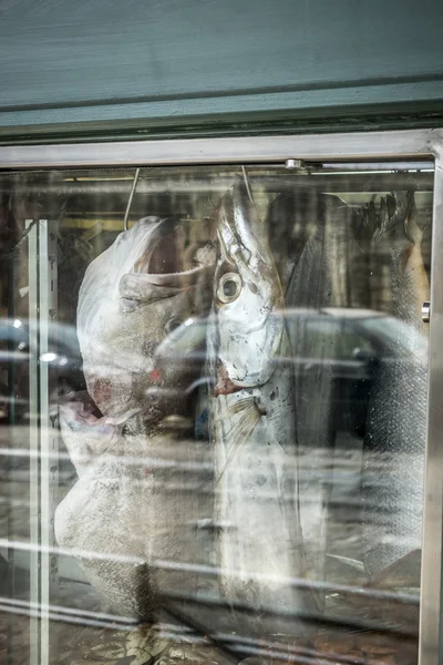 Vis in een restaurant in de wijk Alfama in Lissabon — Stockfoto