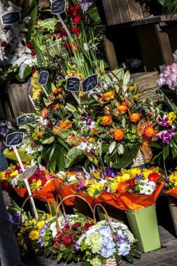 Çiçek dekorasyon, Barcelona İspanya bir dükkanda 
