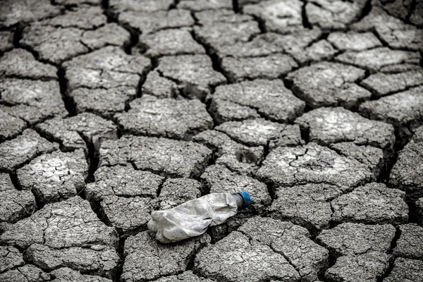 Dry land — Stock Photo, Image