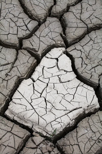 乾燥地 — ストック写真
