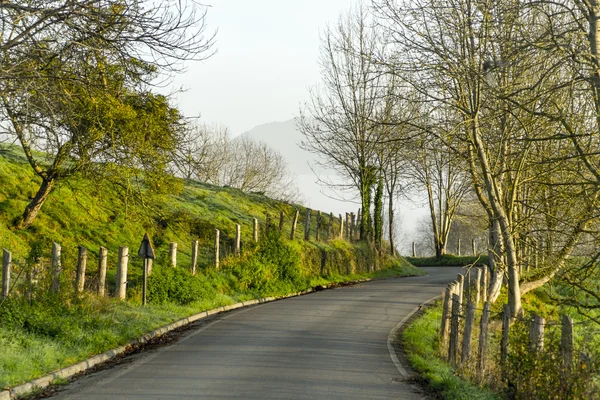 Road in spain — Stock Photo, Image