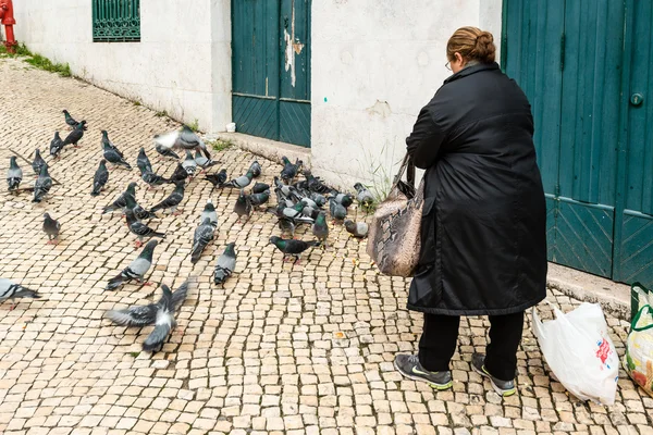 Alte Frau füttert Tauben — Stockfoto