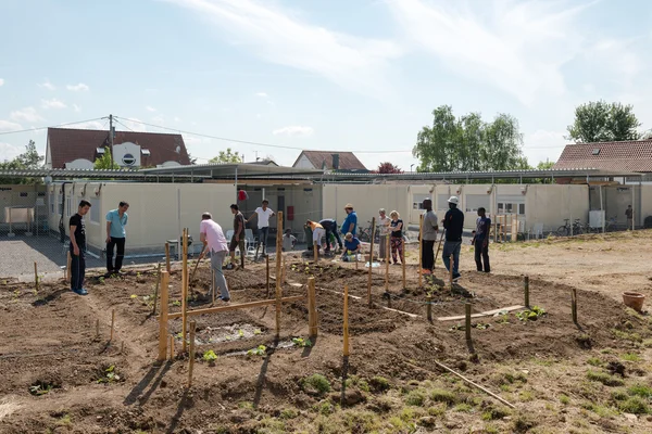 Bir Alman mülteci kampında Bahçe etkinlikleri — Stok fotoğraf