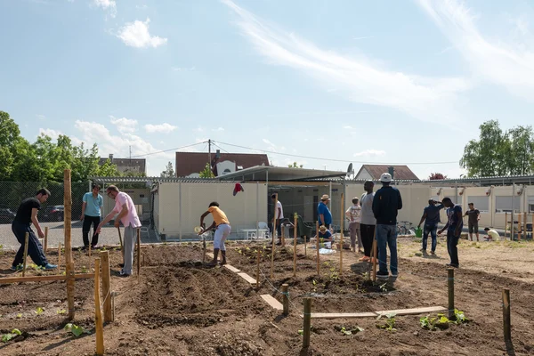 Gardening activities in a German refugee camp — Stock Photo, Image