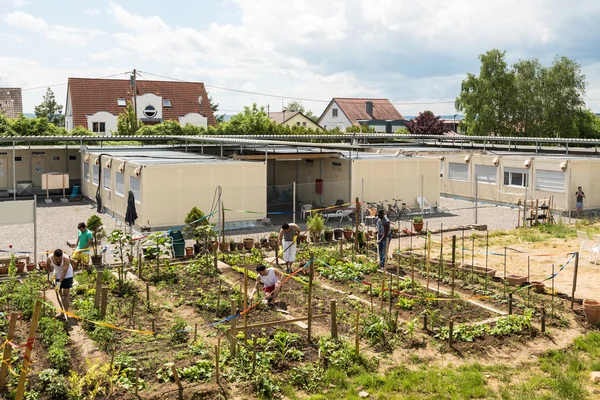 Gardening activities in a German refugee camp — Stock Photo, Image
