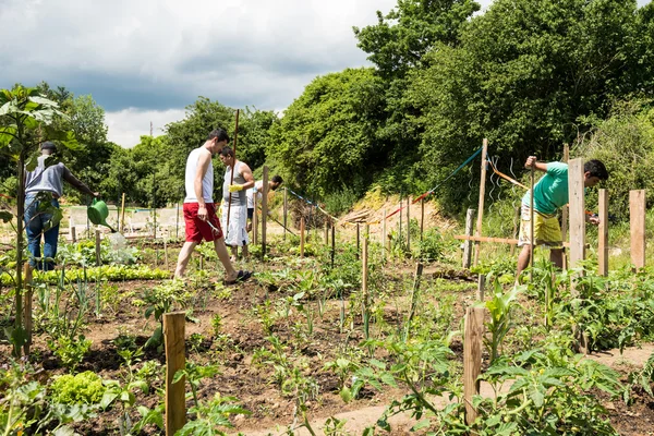 Actividades de jardinería en un campo de refugiados alemán —  Fotos de Stock