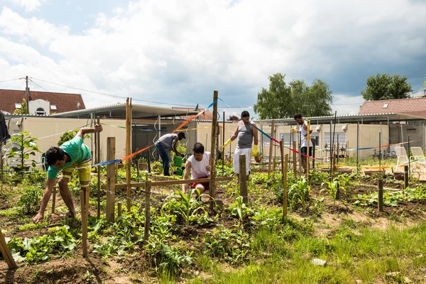 Ogrodniczej w obozie dla uchodźców niemiecki — Zdjęcie stockowe