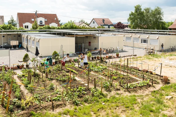 Gardening activities in a German refugee camp — Stock Photo, Image