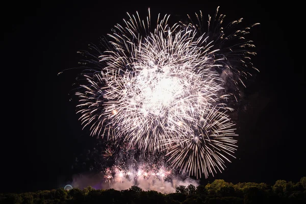 Grote heldere vuurwerk — Stockfoto