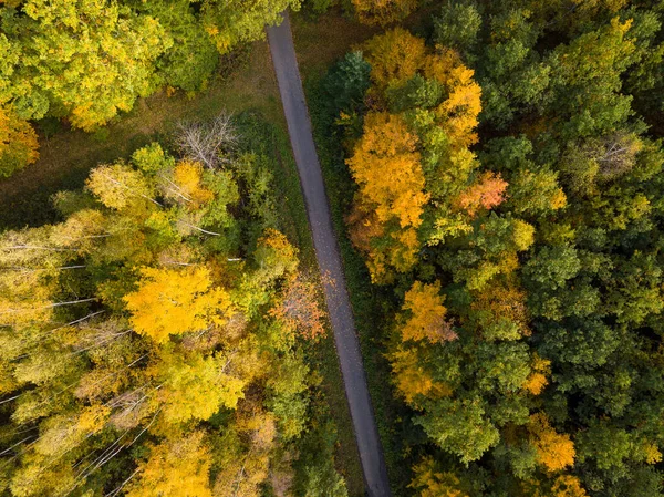 Vista aérea del bosque otoñal atravesado por un sendero. Paisaje otoñal con follaje rojo, amarillo y verde visto desde arriba —  Fotos de Stock