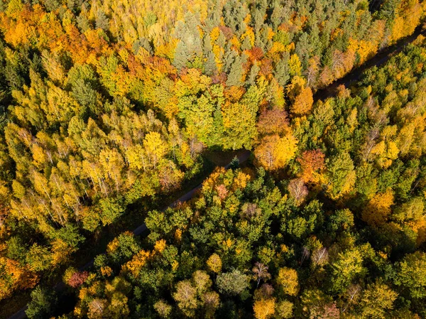 Letecký pohled na podzimní les. Podzimní krajina s červeným, žlutým a zeleným listím, jak je vidět shora — Stock fotografie