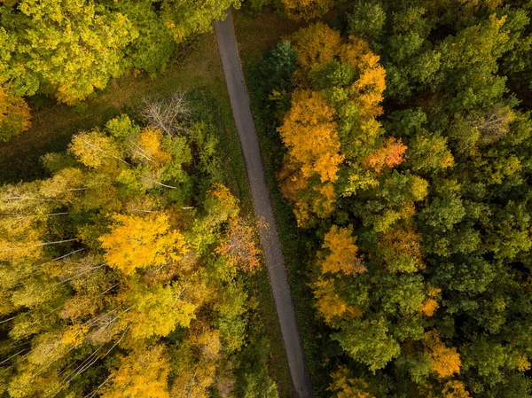 Vista aérea del bosque de otoño. Paisaje otoñal con follaje rojo, amarillo y verde visto desde arriba —  Fotos de Stock