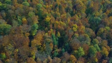 Sonbahar ormanı üzerindeki dikey uçuşun havadan görüntüsü. Yukarıdan görüldüğü gibi kırmızı, sarı ve yeşil yapraklı sonbahar manzarası