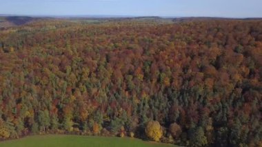 Sonbahar ormanının havadan görünüşü. Güney Almanya 'da Stuttgart yakınlarında güneşli bir Ekim gününde kırmızı, sarı ve yeşil yapraklarla sonbahar manzarası
