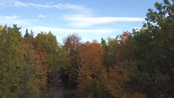 Αεροφωτογραφία ενός κηφήνα που ανεβαίνει σε ένα φθινοπωρινό δάσος. Φθινόπωρο τοπίο με κόκκινο, κίτρινο και πράσινο φύλλωμα σε μια ηλιόλουστη μέρα του Οκτωβρίου κοντά στη Στουτγάρδη στη νότια Γερμανία — Αρχείο Βίντεο