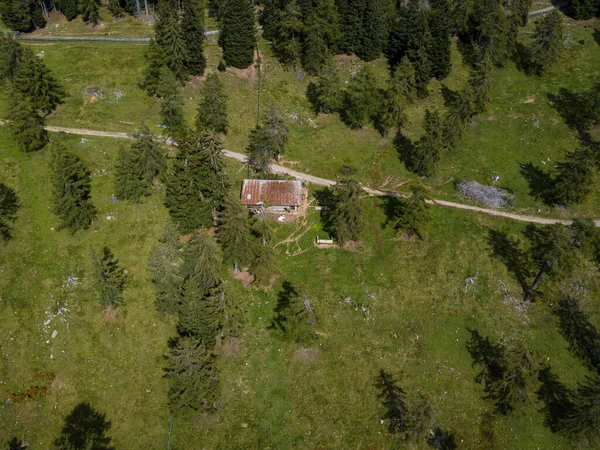 Vue aérienne sur une cabane avec des vaches broutant dans un beau scénario de montagne avec des forêts luxuriantes le long du Meraner Hoehenweg près de Meran dans le Tyrol du Sud, Italie — Photo