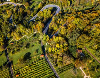 Sonbaharda şarap sıraları - Almanya, Stuttgart yakınlarındaki Metzingen 'de sonbahar renklerinde üzüm bağları, Swabian Alplerinin başlangıç noktası