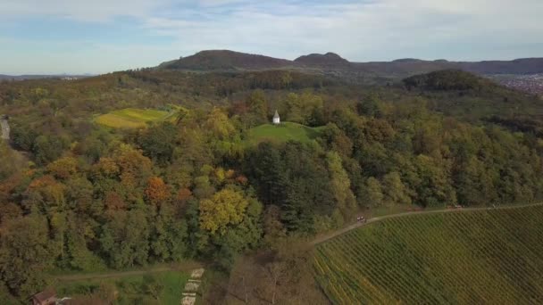 Řádky vína na podzim - vinice v podzimních barvách v Metzingenu u Stuttgartu, Německo, výchozí bod Švábských Alp — Stock video