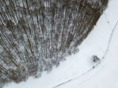 Kış manzarası, yaprak döken ormanlardaki ağaçlar, kırağı kaplayan insanlar ve karla kaplı patikada yürüyen insanlar.
