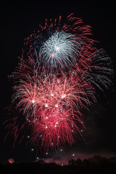 Hermosos fuegos artificiales de colores — Foto de Stock